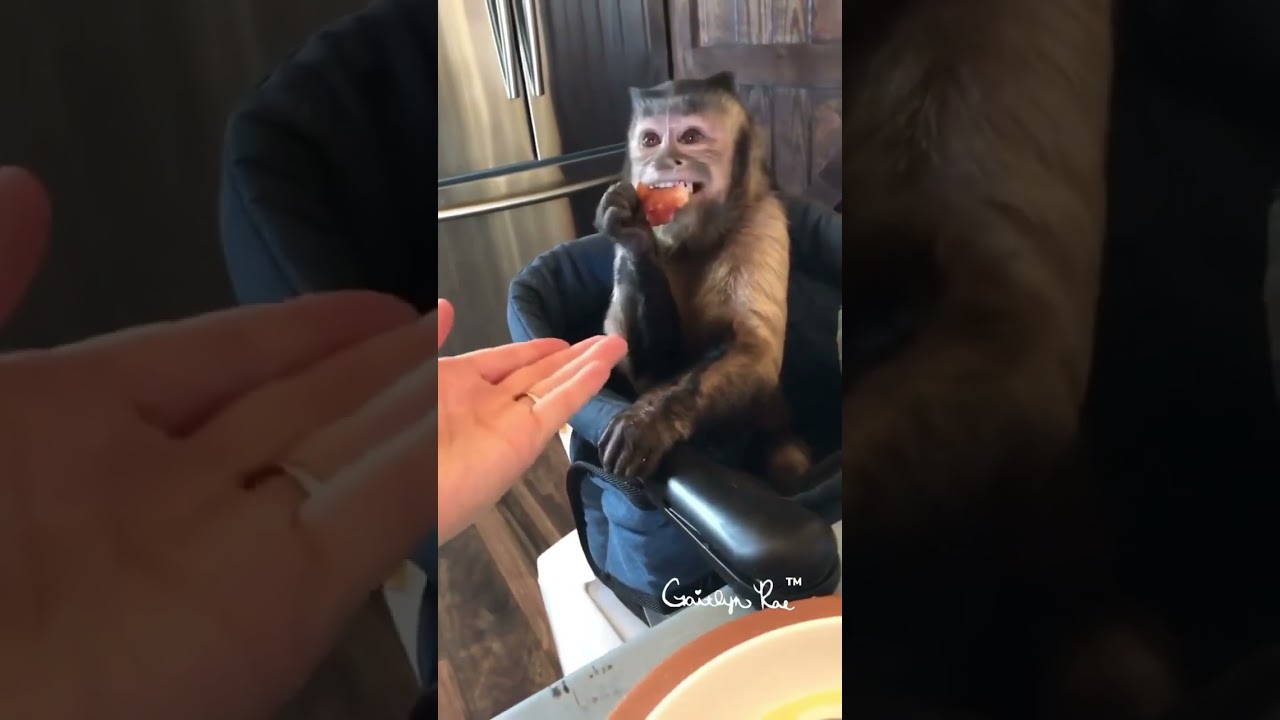 Are you kidding me? No 🙊🤣