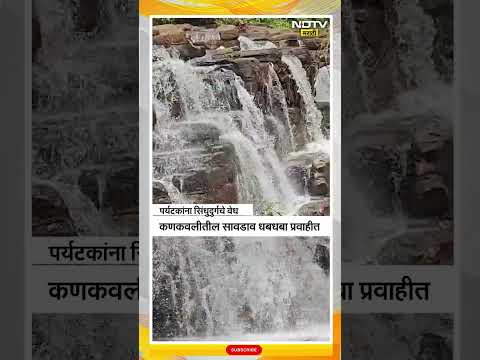 Sindhudurga | पर्यटकांना सिंधुदुर्गचे वेध, कणकवलीतील सावदाव धबधबा ठरतोय आकर्षण | NDTV मराठी