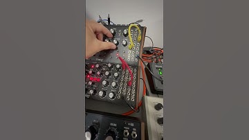 Jamming with the Moog DFAM and Sub Harmonicon. Behringer RD9 #semimodular #synthjam