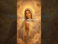 Pray the Rosary with Mary 🌹 | Peaceful Devotional #Shorts #catholic #prayer