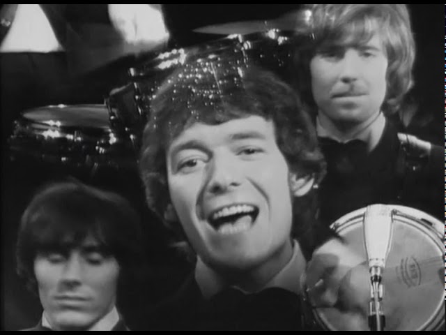 Hollies - Do The Best You Can