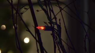 Energy Smart® Colorite® LEDs by GEHolidayLighting 13,831 views 6 years ago 1 minute, 22 seconds