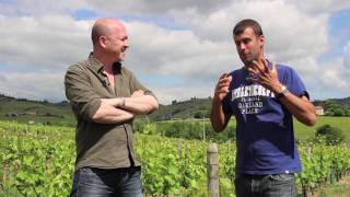 Vins et Vignerons, Domaine des Marrans