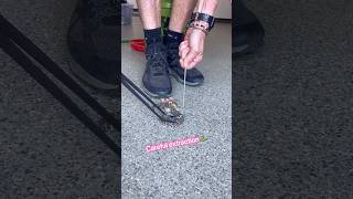 Tiny Rattlesnake in big trouble ☠️ #life #nature #snake #youtube #save