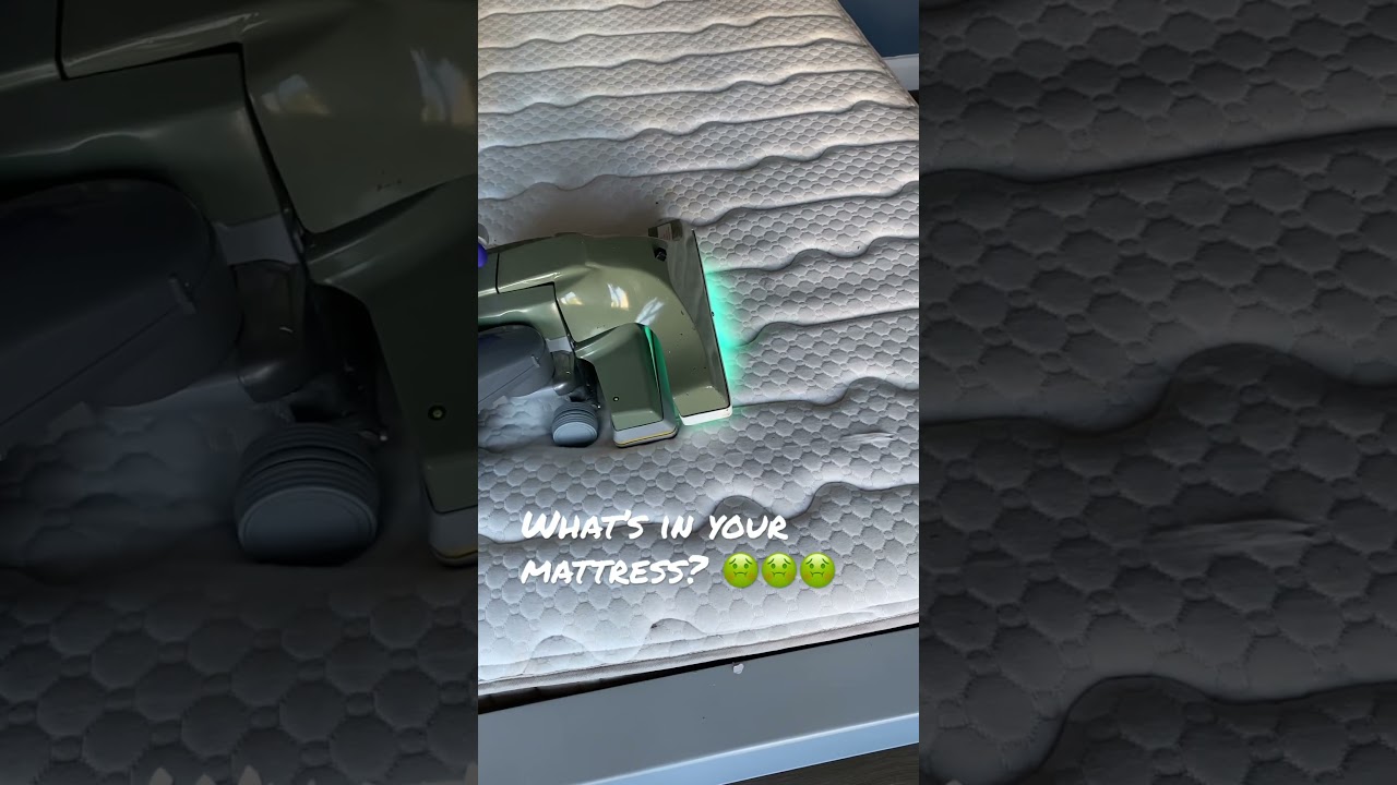 What’s in your Mattress? Mattress Cleaning by Sleephaven Cleaning Services