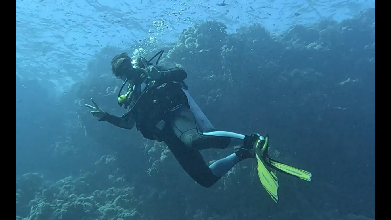 SHARM EL-SHEIKH 2025 : Immersioni a RAS UMM SID (notturna), SHARK REEF e YOLANDA REEF