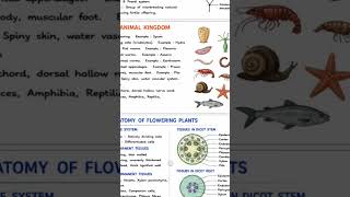 NEET Biology Final Revision (1/4) 🧬🌿 | Top 10 Chapters in 1 Page | NEET 2026 #shorts