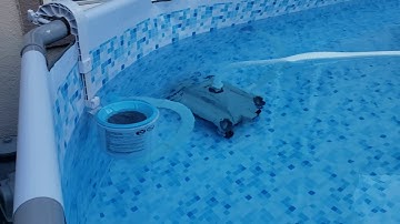 Intex Auto Pool Cleaner