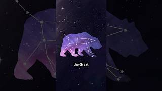 The Real Bears of the Arctic: A Story Written in the Stars #science #space #shorts