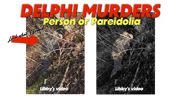 Delphi Murders. Look What I Found. Person or Pareidolia? Sleuth Crew Debunks