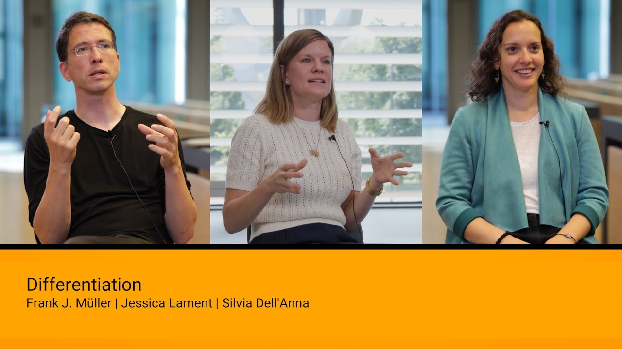 Differentiation | All means all