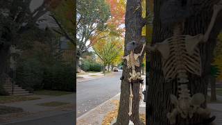 Walking In Queens New York City