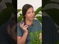 Vročina poletje: Simone Godina razkriva, kako se ohladiti