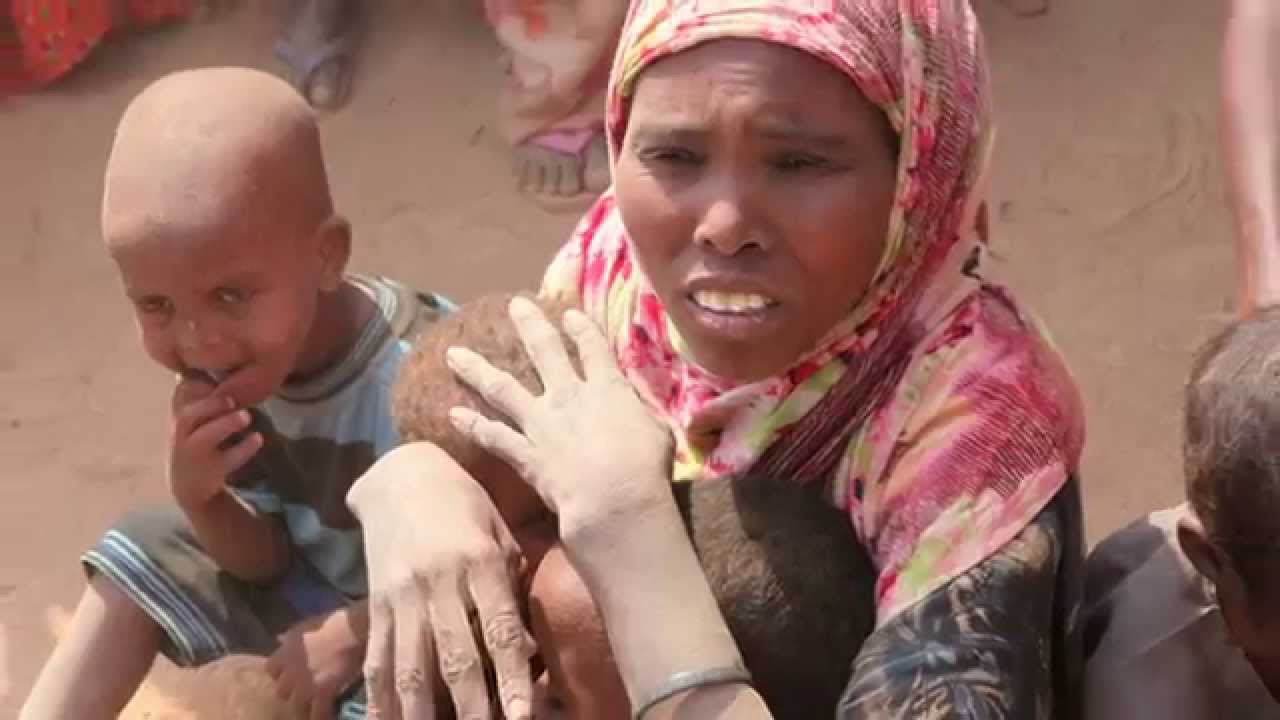 Saving the Planet, One Bite at a Time Trailer