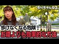 骨密度が低いと歩けなくなる