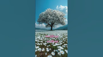 تلاوة خاشعة تهز القلوب | لقد جاءكم رسول من أنفسكم | بصوت الشيخ عبد الباسط عبد الصمد