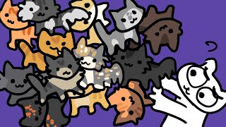 Where did all these cats come from???
hollytuft soon for real Where did all these cats come from???