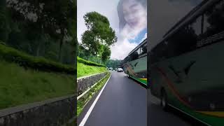 Download Lagu Teman biasa dangdut koplo MP3 Download Lagu Teman biasa dangdut koplo MP3