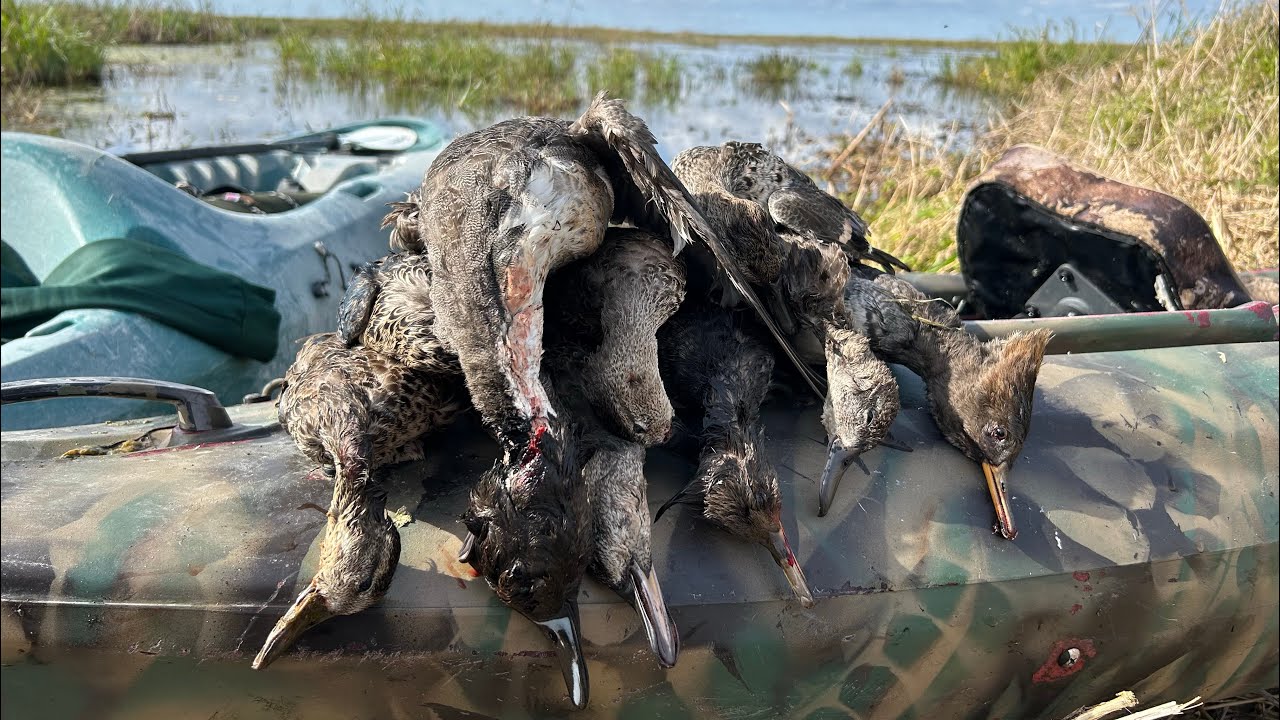 2025 T.M. Goodwin Florida Duck Hunting | Broadmoor Marsh - YouTube