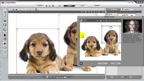 CrazyTalk6 Tutorial - Multi-actor Project