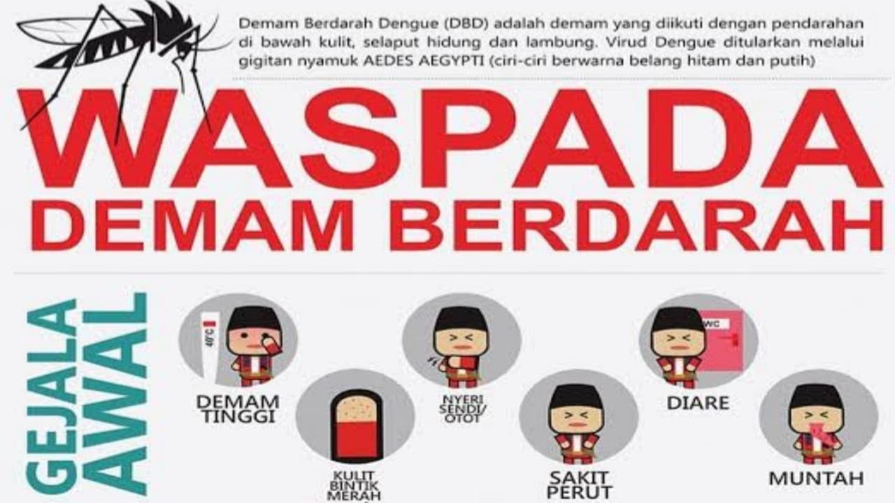 Beginilah yg dilakukan..!! cara mengobati demam berdarah (dbd)