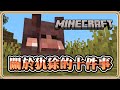 【Minecraft】關於犰狳的十件事✨【#鬼鬼】1.20.5先行版－23w51b