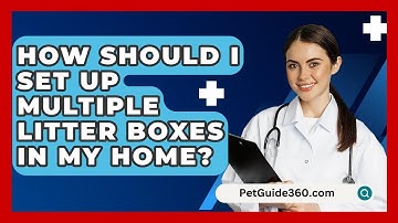 How Should I Set Up Multiple Litter Boxes In My Home? - PetGuide360.com