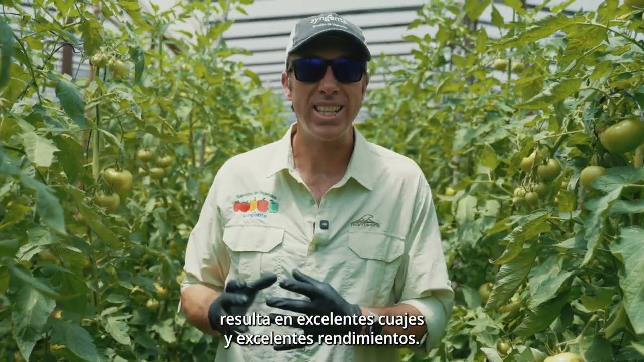 Manejo Generativo Bernardo Mendy