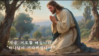 🔴 “주일밤 한 주간 시작을 위해 하나님께 드리는 마음속 고요한 기도｜새소리와 피아노 기도 묵상음악ㅣ말씀묵상기도ㅣ