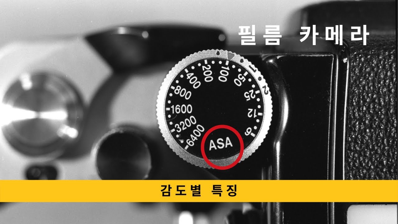 필름카메라 사용법 6 필름 감도별 특징 