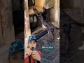 el amor mas fiel y verdadero que existe 🥹 #shortvideo #viral #animals #canino #shorts
