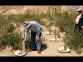 Combat desertification in Xining China with water efficient Groasis technology