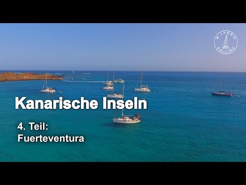 Video: Neurobrucellose Bei Einem Auf Den Kanarischen Inseln Gestrandeten Tümmler (Tursiops Truncatus)