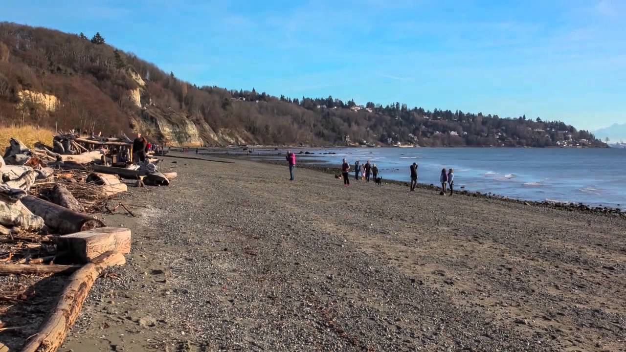 Magnolia Neighborhood CB Danforth - YouTube