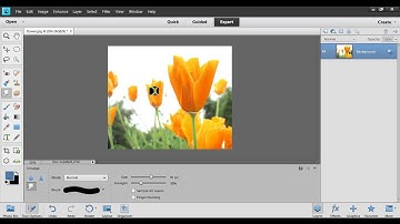 Blur, Sharpen and smudge in Photoshop Elements 11