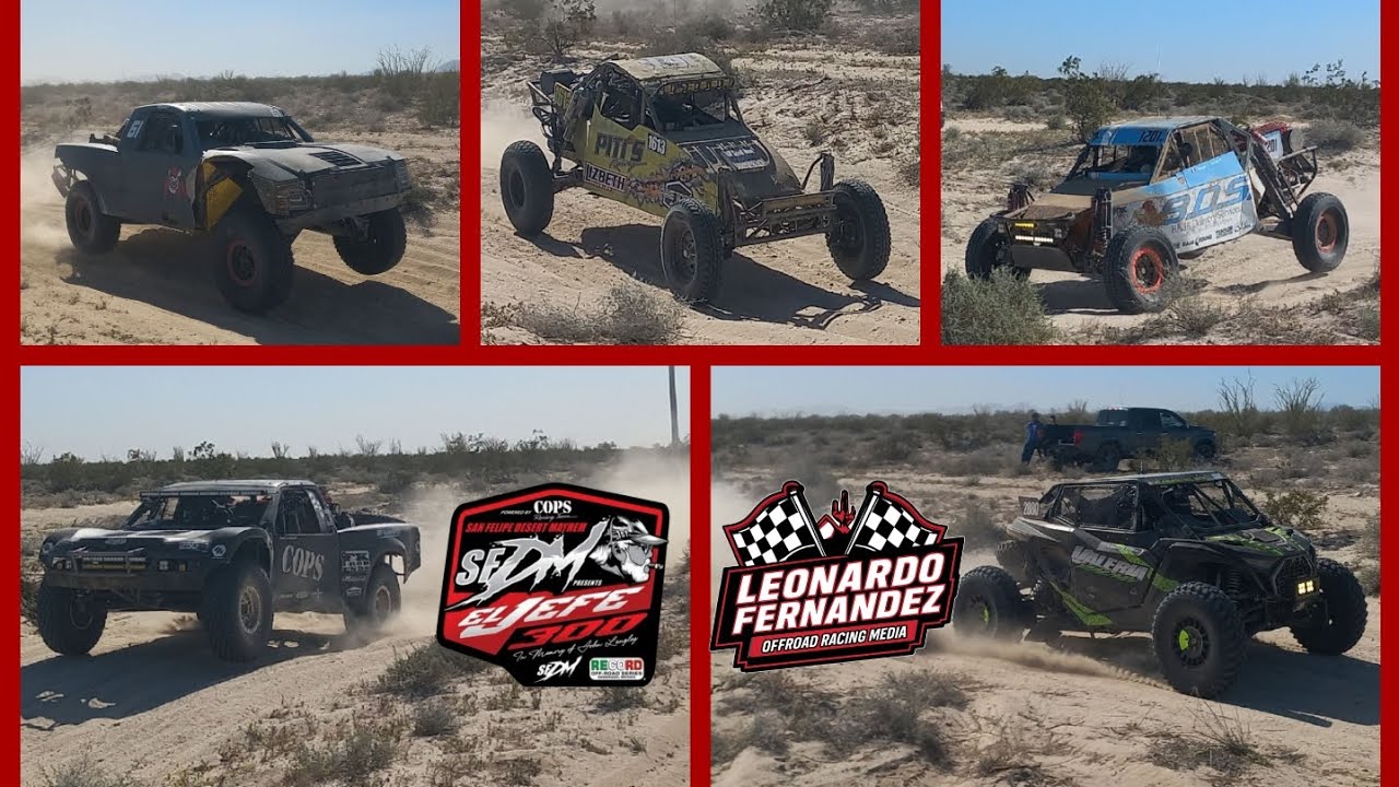 SFDM El Jefe 300 2025 