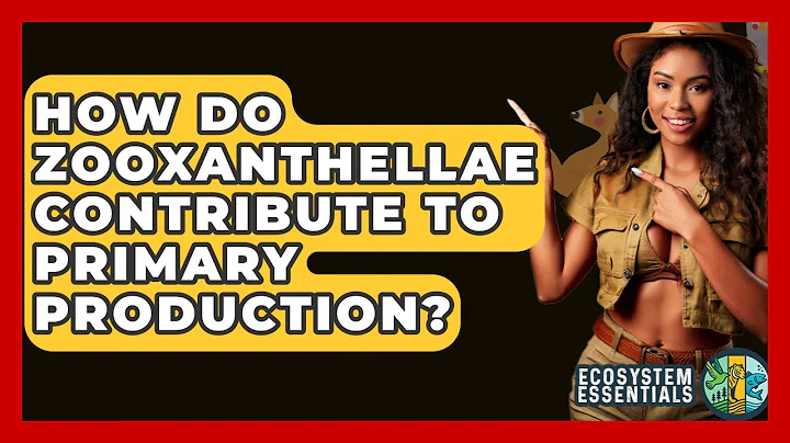 How Do Zooxanthellae Contribute To Primary Production? - Ecosystem Essentials