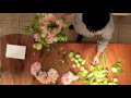 [jardin du I'llony PARIS] How to make bouquet 003 ブーケの束ね方