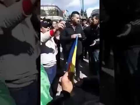 شاهد القبائل الأحرار يطردون الانفصالية أصحاب الماك