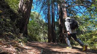 Coffee Rattlesnakes And Redwoods | Day Hike At Mt Madonna County Park #hiking #california