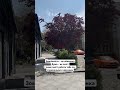 15 червня 2025 р.