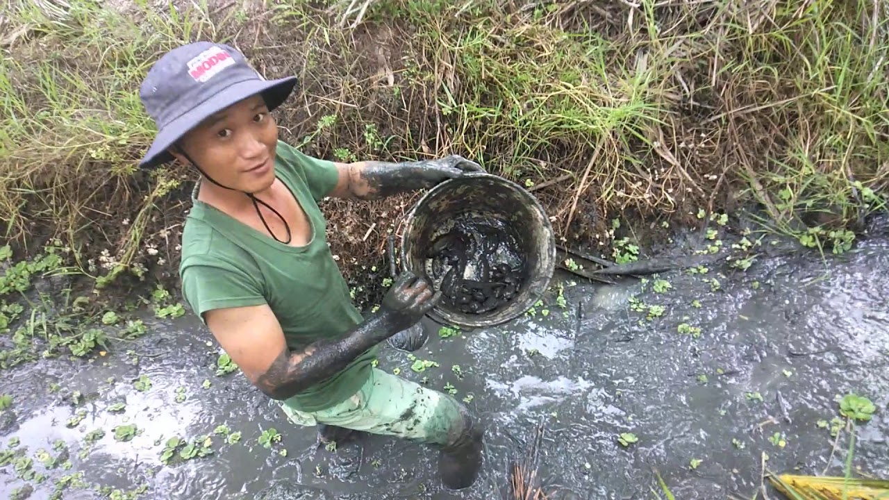 Bat ca mua kho YouTube