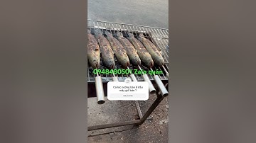 Cá lóc nướng (rạch giá -kiên Giang)