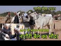 nagour pashu mela 2021 | bull market | pkraj vlogs