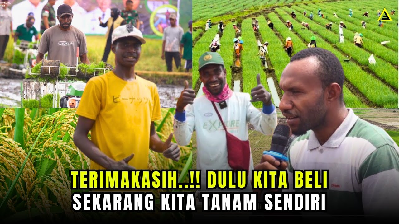 Jokowi Ubah Merauke SIAP Jadi Lumbung Pangan BARU Nasional Indonesia