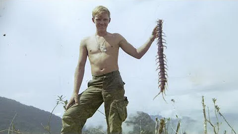 Vietnam's most DANGEROUS Wild Life for US Soldiers!