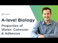 Properties of Water: Cohesion and Adhesion | A-level Biology | OCR, AQA, Edexcel