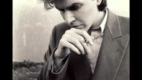 David Sylvian (with Ryuichi Sakamoto) - Forbidden Colours