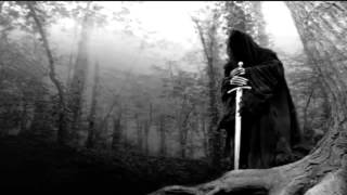 The Dark Forest Stirs