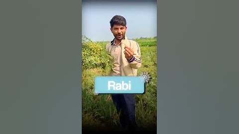 Rabi & Kharif Crops Explained with Practical Examples! #sst #digrajsir